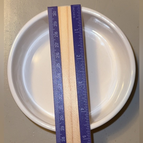 RAE DUNN Pet/Cat Ceramic White Bowl with Fish Image - Picture 6 of 6